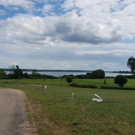 Willa Ferienhaus Plau Am See Direkt Am Strand Zewnętrze zdjęcie