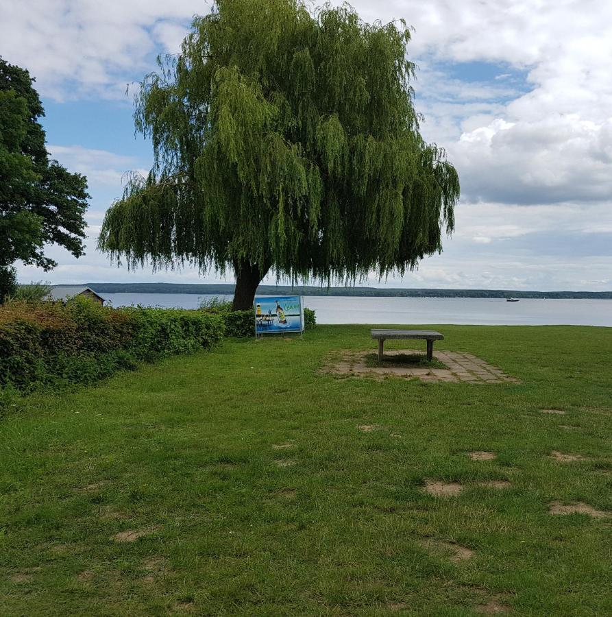 Willa Ferienhaus Plau Am See Direkt Am Strand Zewnętrze zdjęcie